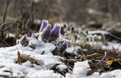 Similar image 21764903