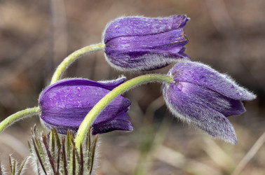 Similar image 21764905