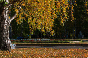 Similar image 21765152