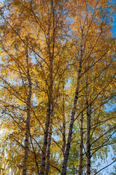 Similar image 21765155