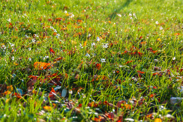 Similar image 21765156