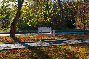 Similar image 21765159