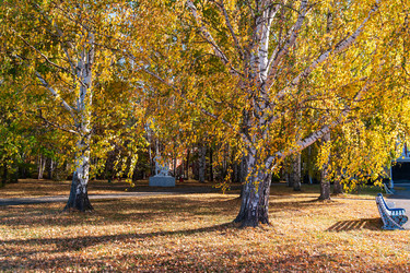 Similar image 21765160