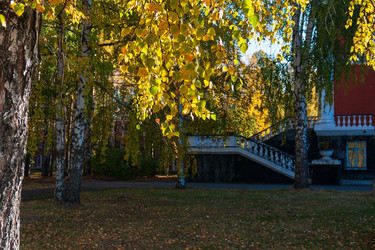 Similar image 21765162