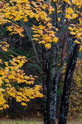 Similar image 21765165