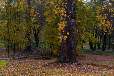 Similar image 21765166