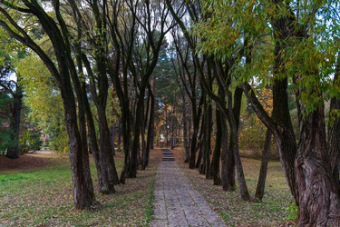 Similar image 21765167