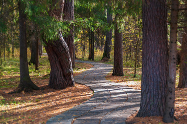 Similar image 21765168