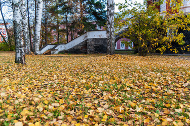 Similar image 21765169