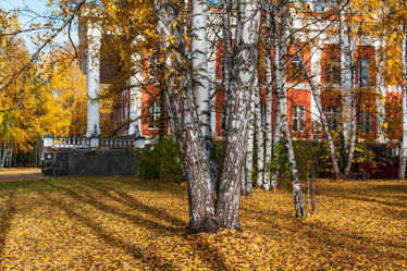 Similar image 21765170