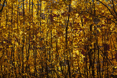 Similar image 21765173