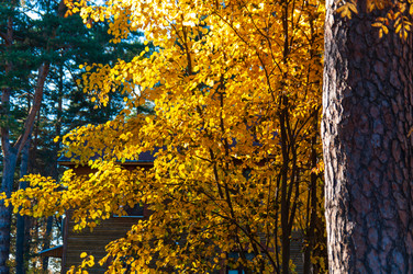 Similar image 21765179