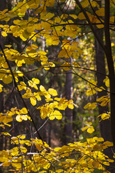 Similar image 21765180