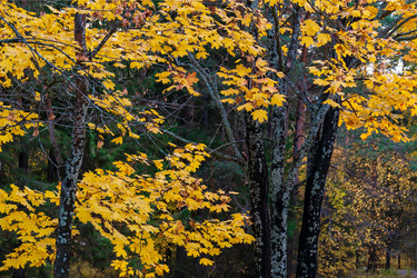 Similar image 21765181