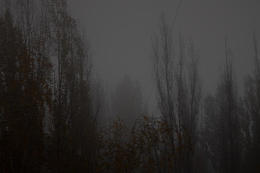 Similar image 21765184