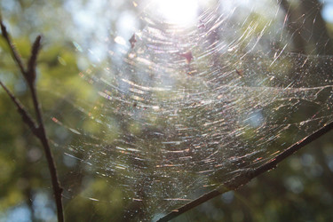 Similar image 21764916