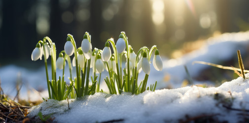 Similar image 21764987