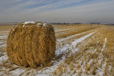 Similar image 21765411