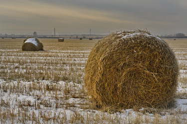 Similar image 21765412