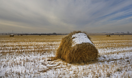 Similar image 21765413