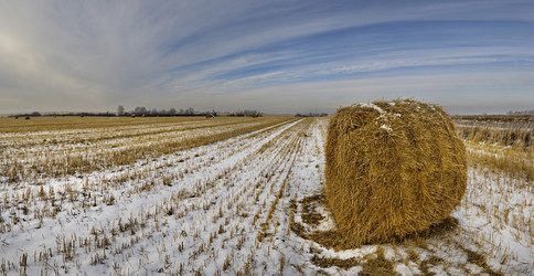 Similar image 21765414