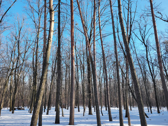 Similar image 21764956