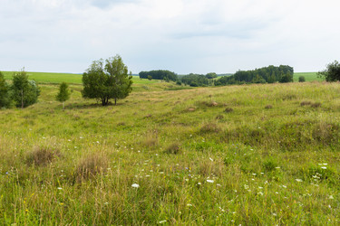 Similar image 21764957