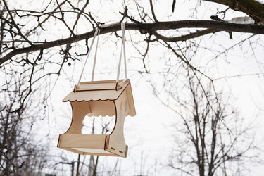 Similar image 21764964