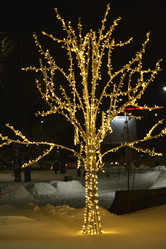 Similar image 21765195