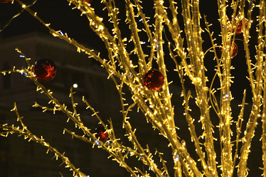 Similar image 21765199