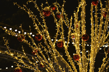 Similar image 21765202