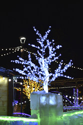 Similar image 21765203