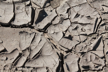 Similar image 21766377