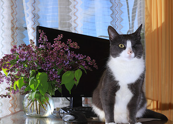 Similar image 21766418