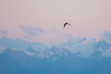 Similar image 21767136