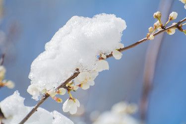 Similar image 21767139