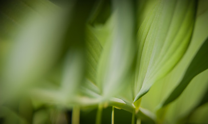 Similar image 21767144