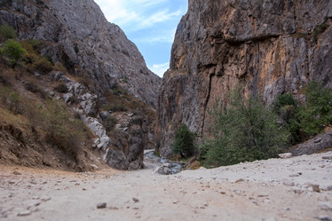 Similar image 21767146