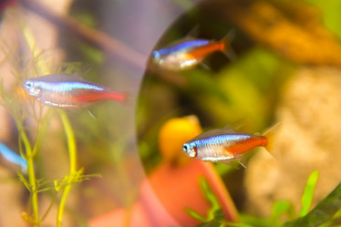 Similar image 21767148