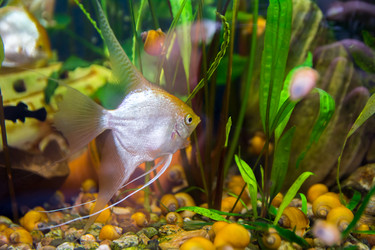 Similar image 21767149