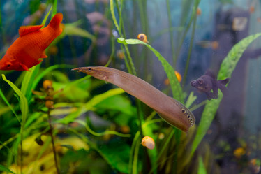 Similar image 21767151