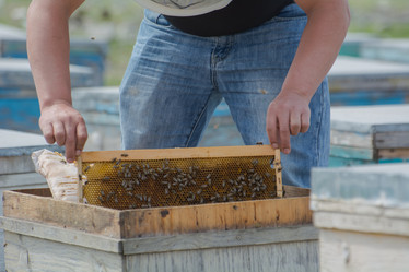 Similar image 21767152