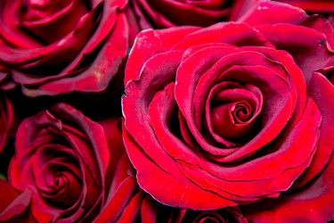 Similar image 21767153