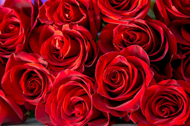 Similar image 21767154