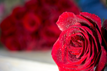 Similar image 21767155