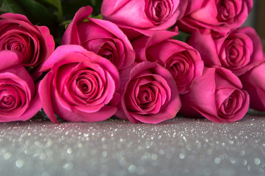 Similar image 21767156