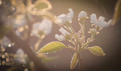 Similar image 21767159