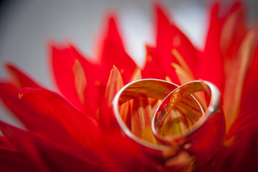 Similar image 21767161