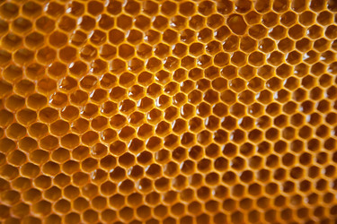 Similar image 21767162