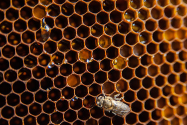 Similar image 21767163